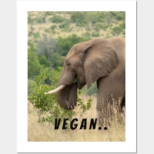 Earth Day 2020 Vegan Posters and Art